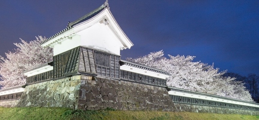 勝竜寺城公園ライトアップ外観の写真(その1)