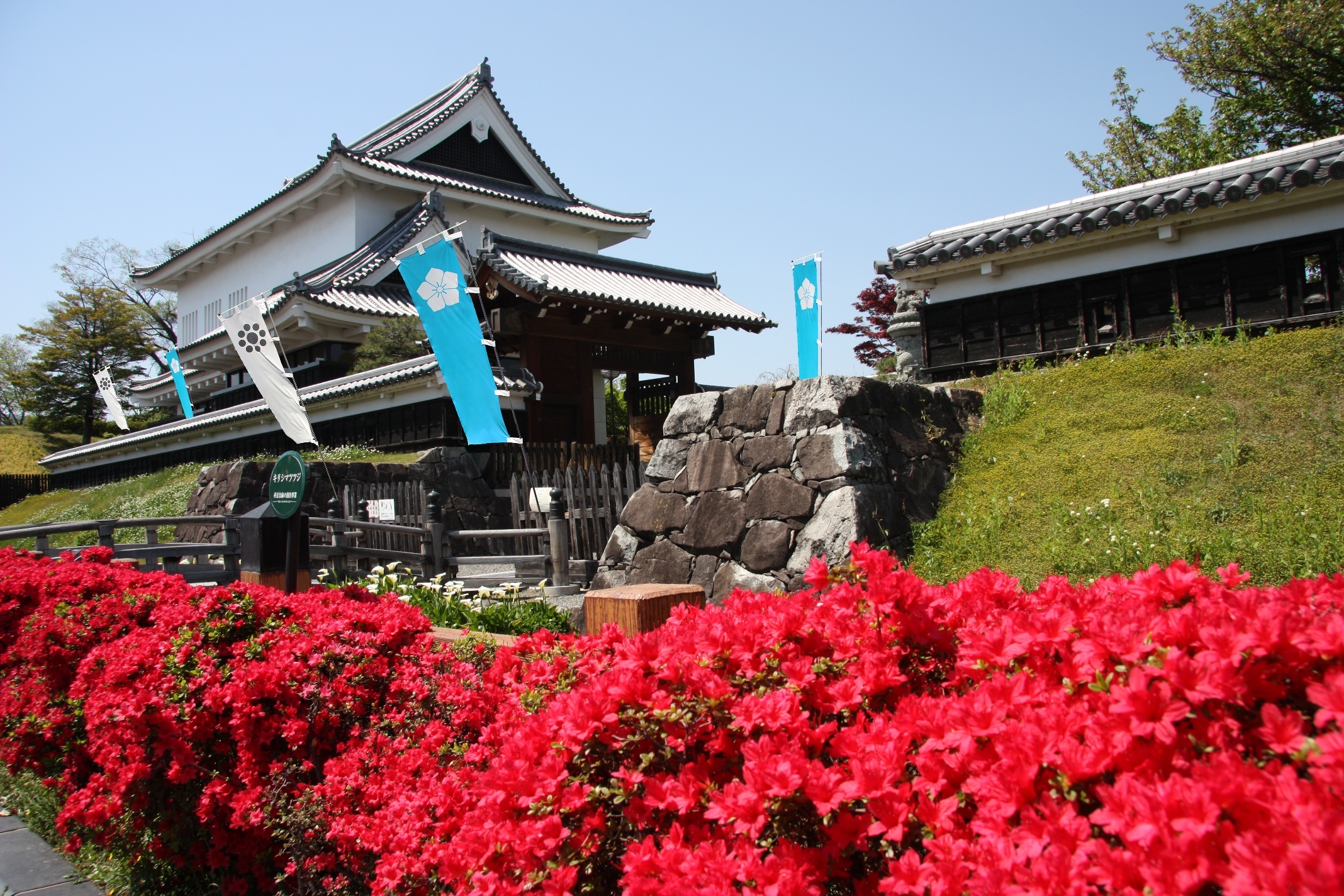 勝竜寺城とキリシマツツジの写真