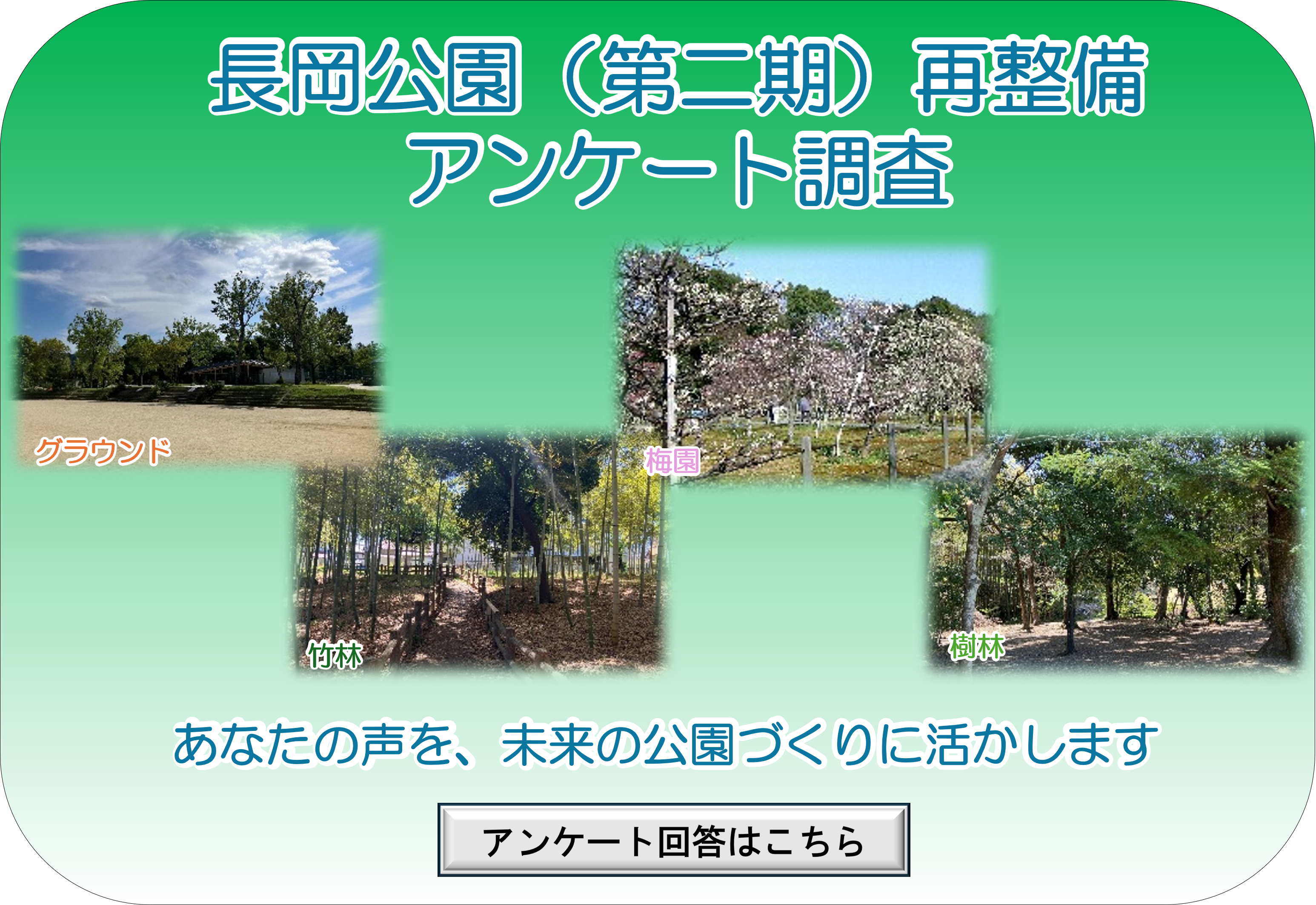 アンケート調査の実施を伝える画像