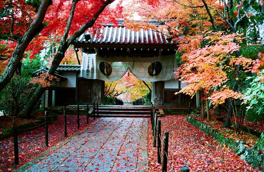 光明寺