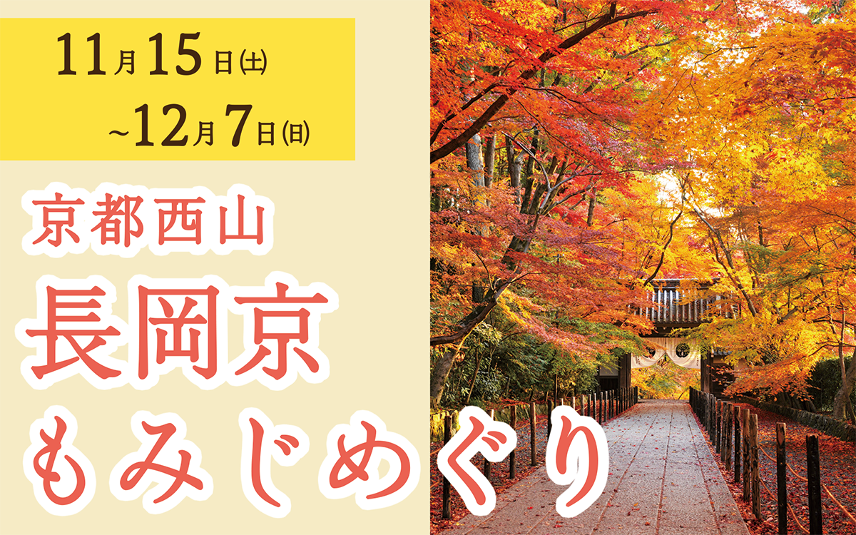 長岡京もみじめぐりが開催されていることを伝える画像