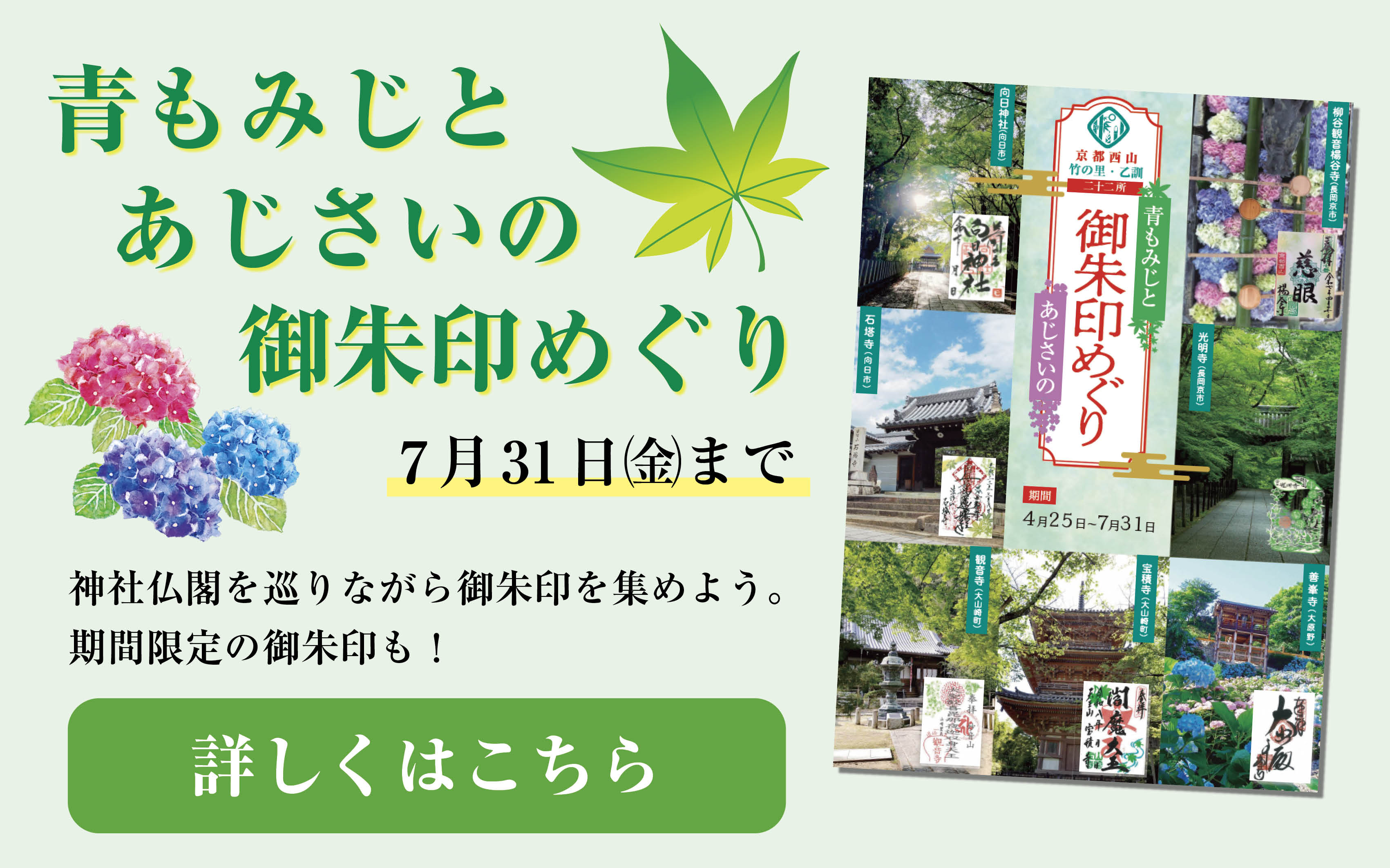 青もみじとあじさいの御朱印めぐりが開催されていることを伝える画像